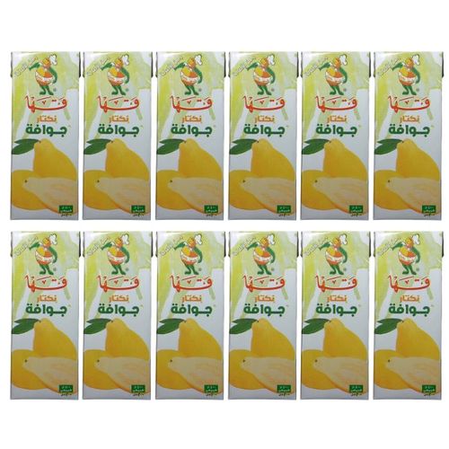 نكتار جوافة قها - ٢٠٠ مل - 12 قطعة