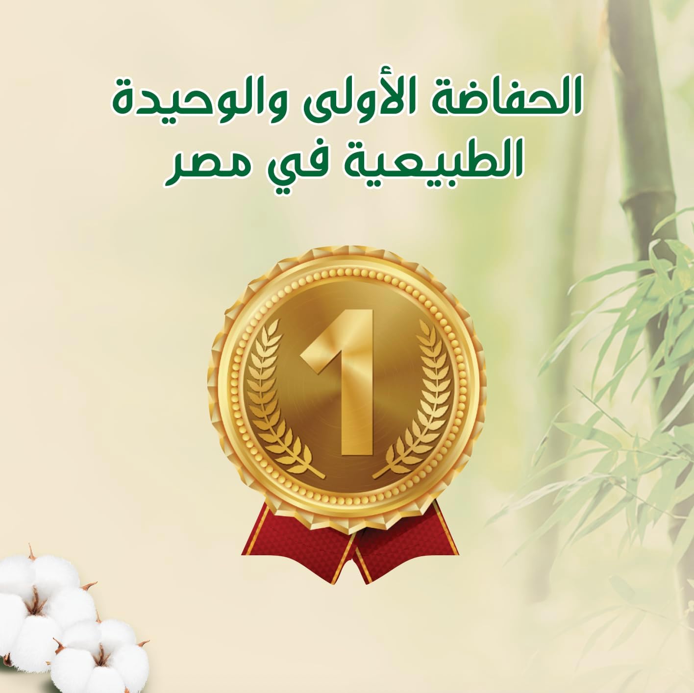 Bebem | بيبيم ناتشورال - حفاضات - حجم صغير 2 - 58 قطعة