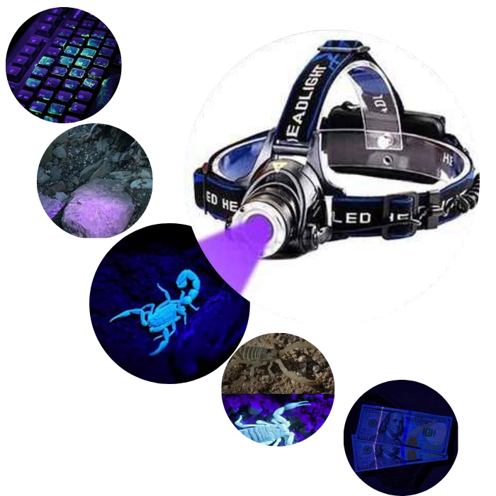 كشاف رأس UV لإضاءة قوية وفحص دقيق,
,
أفضل كشاف رأس للأشعة فوق البنفسجية
, كشاف كشف العقارب والحشرات المتوهجة
, كشاف للأشعة فوق البنفسجية للكشف عن البقع والعملات المزيفة
, كشاف رأس لإضاءة قوية وفحص المعادن والمجوهرات
, كشاف رأس متعدد الاستخدامات للفحص والتخييم