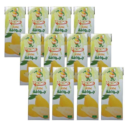 نكتار جوافة قها - ٢٠٠ مل - 12 قطعة