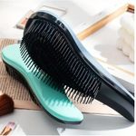 Hair brush That Prevents Tangling And Promotes Smooth Hair