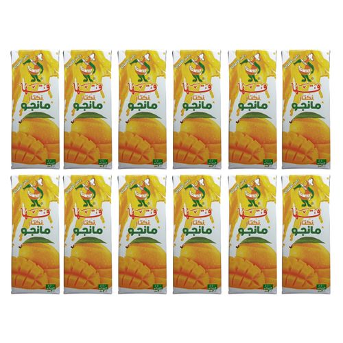 نكتار مانجو قها - ٢٠٠ مل - 12 قطعة